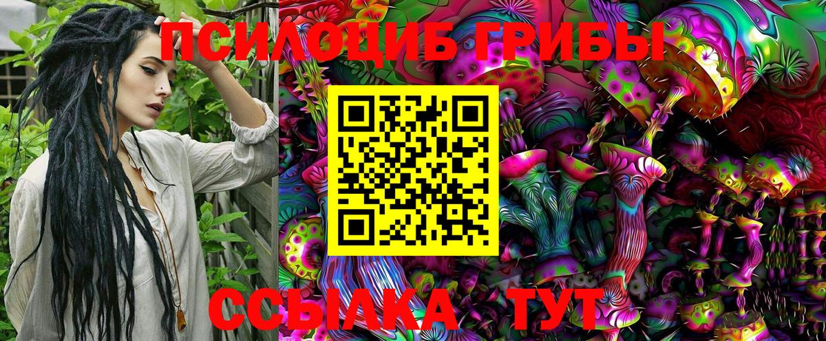 Галлюциногенные грибы Cubensis  Вход с VPN  Ахтубинск 